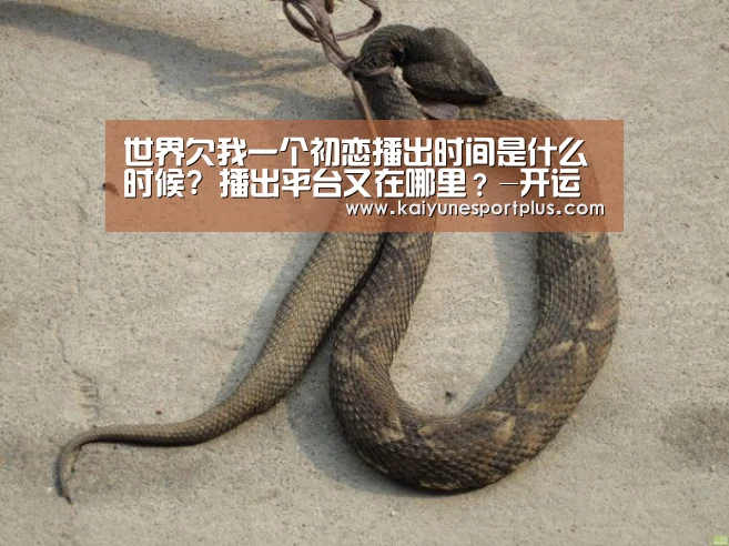 开运竞猜